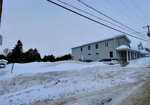 Propriété commerciale à vendre - 150 Rue Jérémie-Beaulieu, Sainte-Françoise, G0L 3B0
