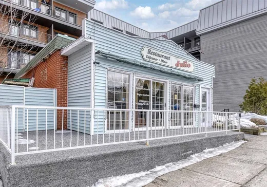Propriété commerciale à vendre - 5Z Rue Ste-Anne, Sainte-Agathe-des-Monts, J8C 2L2