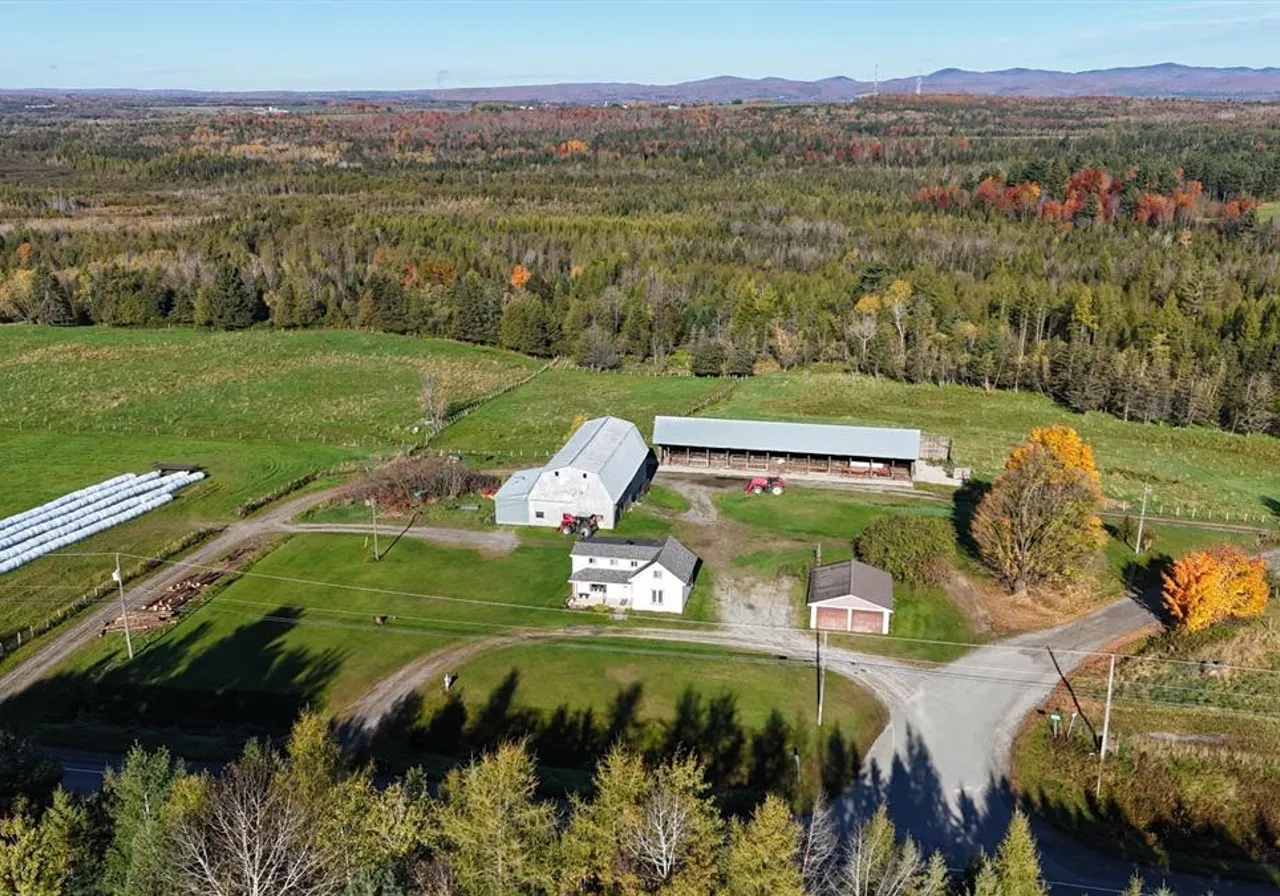 Ferme à vendre - 777 Route 108, Cookshire-Eaton, J0B 1M0
