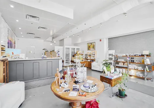 Commercial Property for Sale - 3949-3951 Rue St-Denis, Montreal (Plateau-Mont-Royal), H2W 2M4