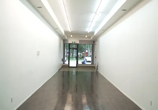 Condo Commercial à vendre - 53 Rue George, Massueville, J3P1B9