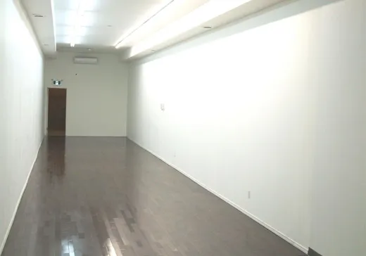 Condo Commercial à vendre - 53 Rue George, Massueville, J3P 1B9