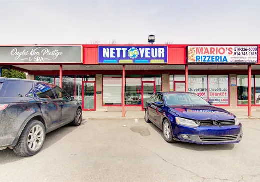 Commercial Property for Sale - 6247 Boul. Henri-Bourassa O., Montreal (Saint-Laurent), H4R 1C7