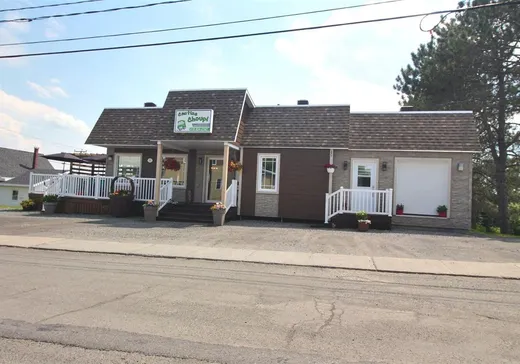 Propriété commerciale à vendre - 109 Rue St-Charles, Trois-Pistoles, G0L 3S0