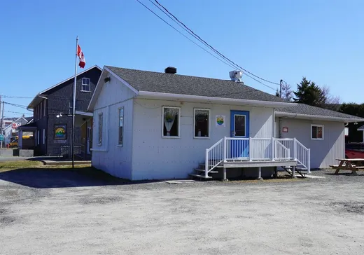 Propriété commerciale à vendre - 291 Rue St-Edmond, Lac-Au-Saumon, G0J 1M0