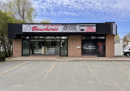 Commercial Property for sale - 495 Boul. des Bois-Francs S., Victoriaville, G6P4T4