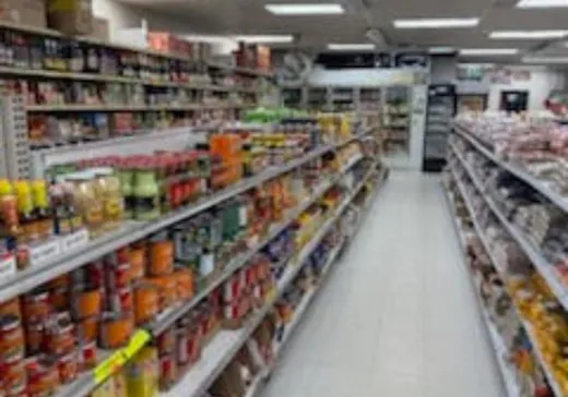 Propriété commerciale à vendre - 9000 Boul. Newman, Montréal (LaSalle), H8R 1Y8