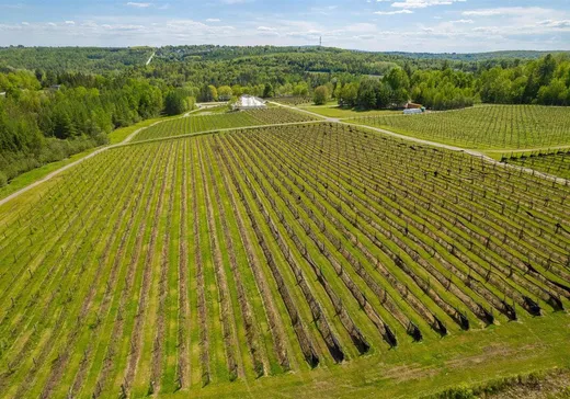 Commercial Property for sale - 680-695 Ch. du Sanctuaire, Sherbrooke, J1H0E1