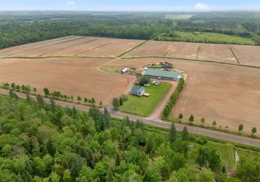 Ferme à vendre - 150 1er Rang O., Lyster, G0S1V0