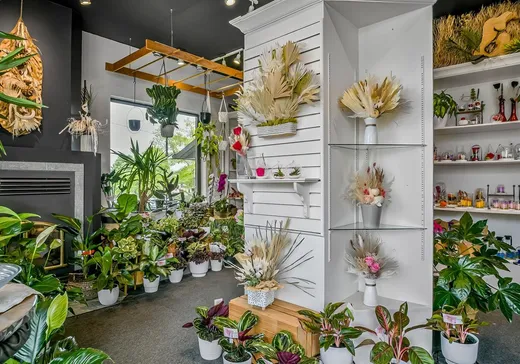 Propriété commerciale à vendre - 102A Rue St-Laurent, Saint-Eustache, J7P 5A4