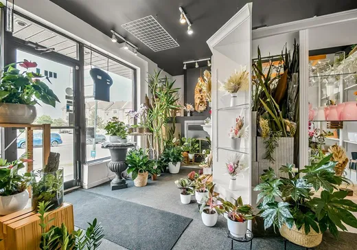 Propriété commerciale à vendre - 102A Rue St-Laurent, Saint-Eustache, J7P 5A4