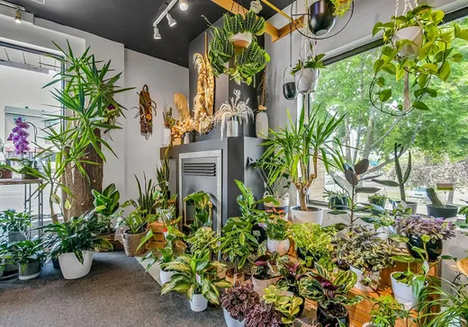 Propriété commerciale à vendre - 102A Rue St-Laurent, Saint-Eustache, J7P 5A4