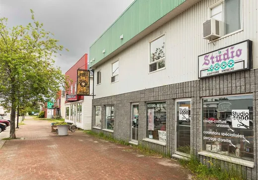 Propriété commerciale à vendre - 751-759 Rue Royale, Amos, J0Y 1Z0