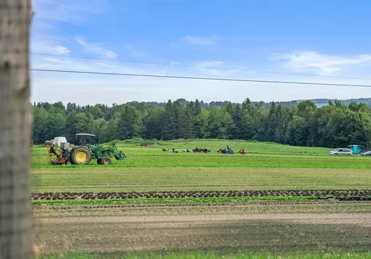 Farm for Sale - 440-450 Ch. de Hyatt's-Mills, Coaticook, J0B 1L0