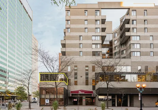 Propriété commerciale à vendre - 1111 Rue St-Urbain, Montréal (Centreville), H2Z 1Y6