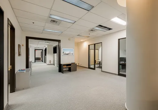 Propriété commerciale à vendre - 1111 Rue St-Urbain, Montréal (Centreville), H2Z1Y6
