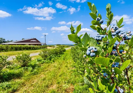 Farm for sale - 2800 Route 209, Saint-Antoine-Abbé, J0S1N0