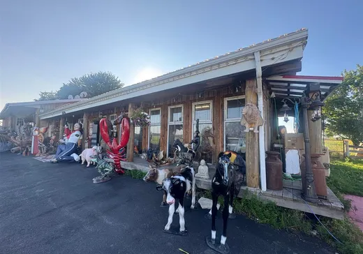 Commercial Property for sale - 171Z Rg des Plaines, Ste-Eulalie, G0Z1E0