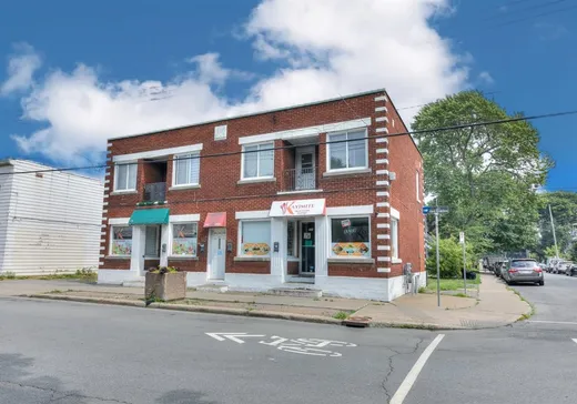 Propriété commerciale à vendre - 246-250 Rue des Érables, Montréal (Lachine), H8R 1B6