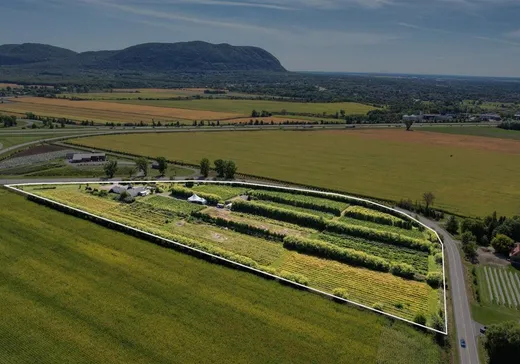 Ferme à vendre - 812 Ch. Pion, Mont-Saint-Hilaire, J3H 0L4