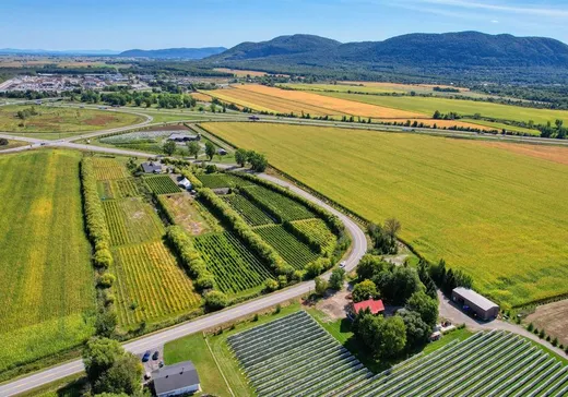 Ferme à vendre - 812 Ch. Pion, Mont-Saint-Hilaire, J3H 0L4