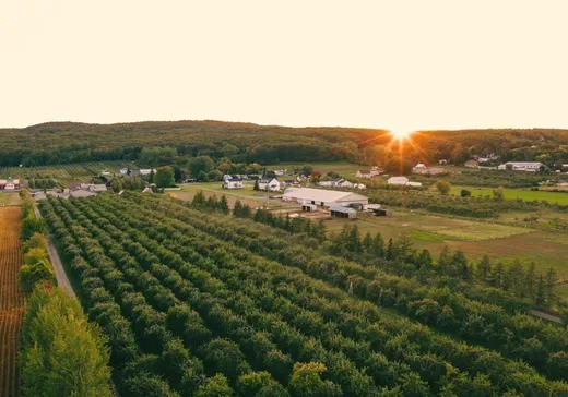 Farm for sale - 649 Ch. Principal, Deux-Montagnes, J0N1M0