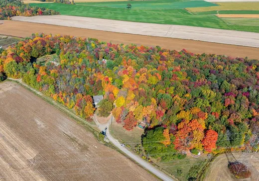 Ferme à vendre - 770-774 Rg Beauséjour, Louisville, J5V 2L4