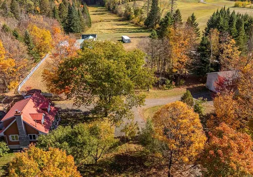 Ferme à vendre - 385Z Ch. de la Rivière, Saint-Sauveur, J0R 1K0