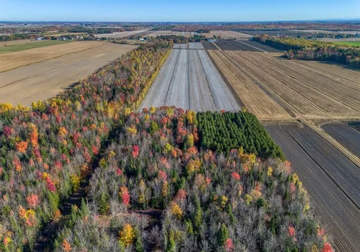 Farm for Sale - 770 3e rang de Simpson, St-Cyrille-De-Wendover, J1Z 1Y4