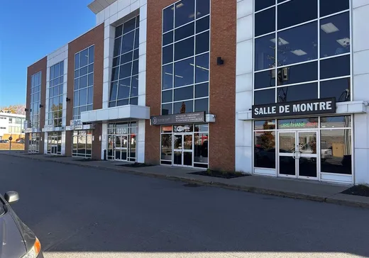 Condo Commercial à vendre - 3310 100e Avenue, App. 110, Laval (Auteuil), H7T 0J7