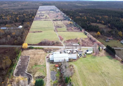 Ferme à vendre - 641 3e Rang, Saint-Nérée-de-Bellechasse, G0R 3V0
