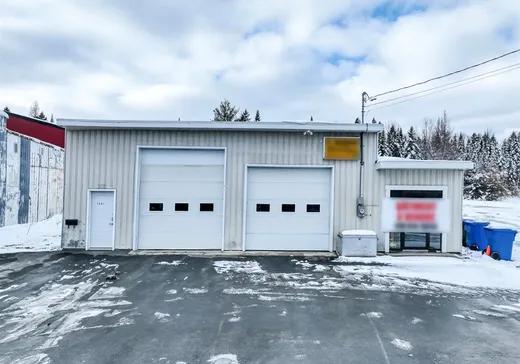 Commercial Property for Sale - 1341 Boul. Frontenac O., Thetford-Mines, G6H 2C6