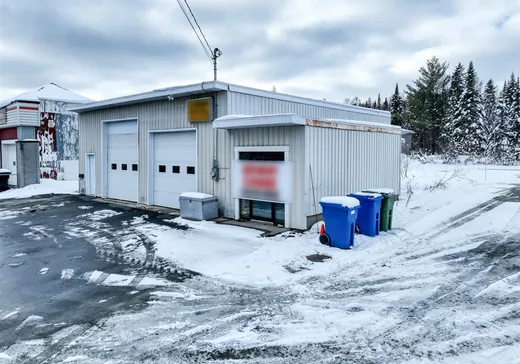 Commercial Property for Sale - 1341 Boul. Frontenac O., Thetford-Mines, G6H 2C6