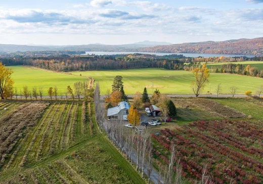 Ferme à vendre - 1540 Route 143, Hatley, J0B 4B0