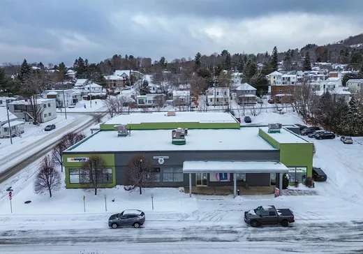 Propriété commerciale à vendre - 104 Rue Ste-Agathe, Sainte-Agathe-des-Monts, J8C 2K3