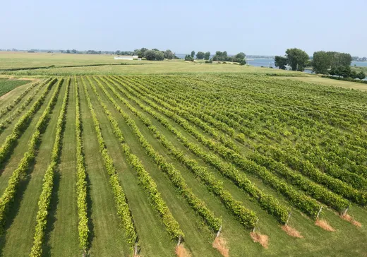 Propriété commerciale à vendre - 96 Ch. de la Chapelle (96Z), Saint-Sulpice, J5W 4C8