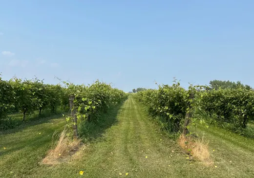 Propriété commerciale à vendre - 96 Ch. de la Chapelle (96Z), Saint-Sulpice, J5W 4C8