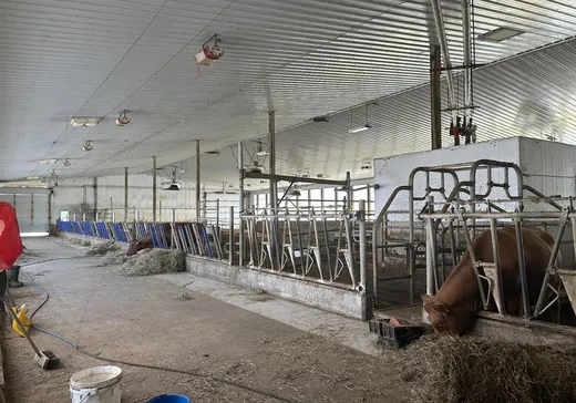 Farm for Sale - 177 Route 311, Lac-du-Cerf, J0W 1S1