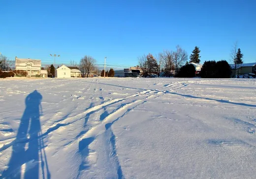 Propriété commerciale à vendre - 1001 Rue Principale, Tourville, G0R 4M0