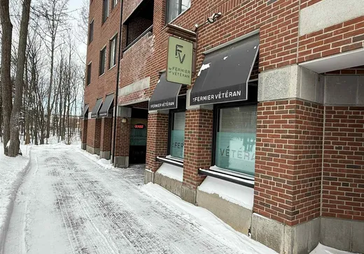 Condo Commercial à vendre - 3678-3692 Rue du Campanile, Beauport, G1X 4G6