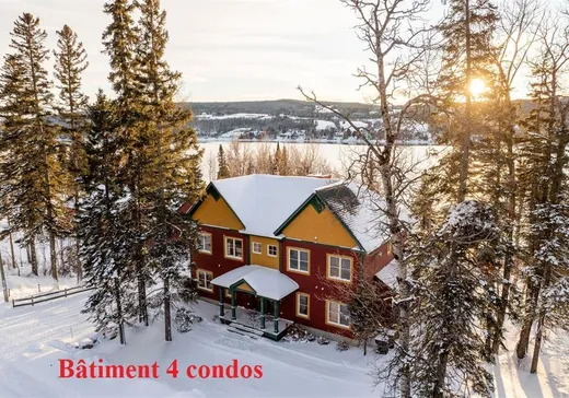 Commercial Property for sale - 1735 Ch. Guérette, Pohénégamook, G0L1J0