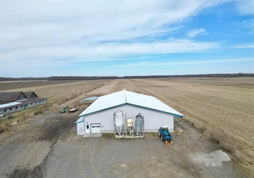 Ferme à vendre - 392 Rg du Chenal-Tardif, Pierreville, J0G 1J0