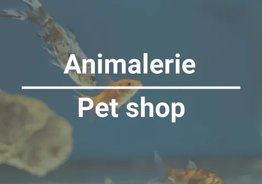 Propriété commerciale à vendre - 356 Boul. Arthur-Sauvé, Barkmere, J7R2J3