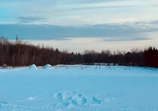 Propriété commerciale à vendre - 754Y Rg Ste-Agathe, Sainte-Sophie-de-Lévrard, G0X 3C0