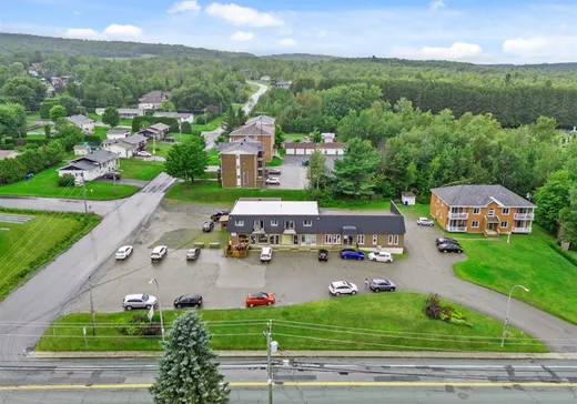 Commercial Property for sale - 95Z-99Z Rue Principale, St-Francois-Xavier-de-Brompton, J0B2V0
