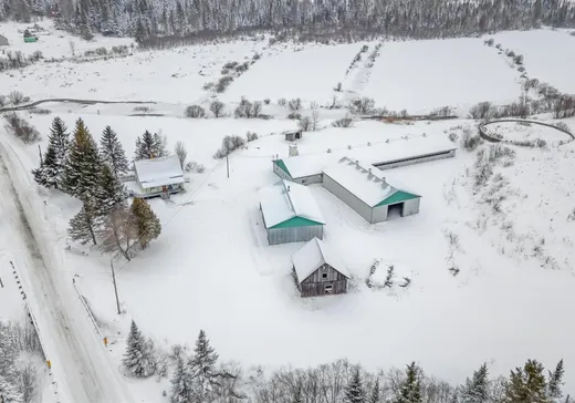 Ferme à vendre - 1185 Rg du Petit-Buckland, St-Lazare-De-Bellechasse, G0R 3J0