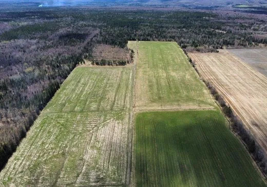 Ferme à vendre - 29 Ch. du Petit-Canada E., Lac-Mégantic, J0B 1Y0