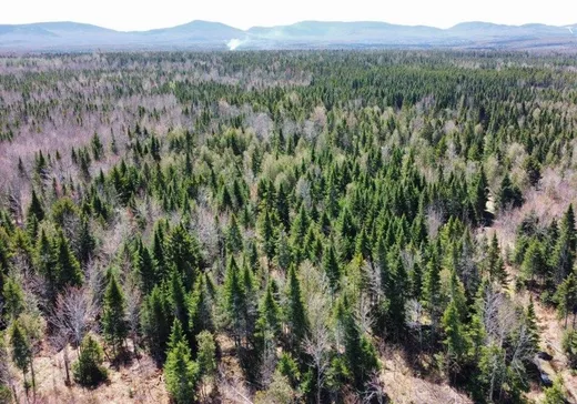 Ferme à vendre - 29 Ch. du Petit-Canada E., Lac-Mégantic, J0B 1Y0