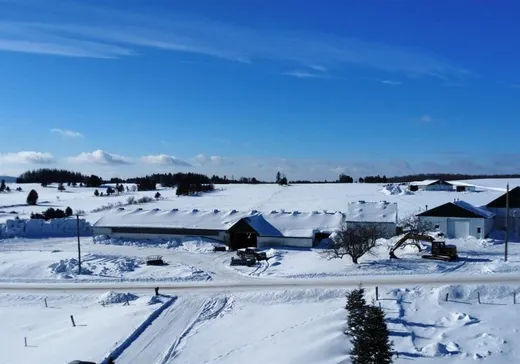 Ferme à vendre - 230-235 2e Rang S., Tring-Jonction, G0N 1X0