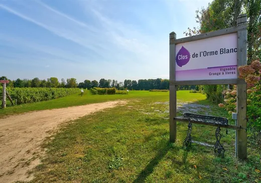 Propriété commerciale à vendre - 1050Z Ch. Dutch, Brownsburg-Chatham, J0J1T0